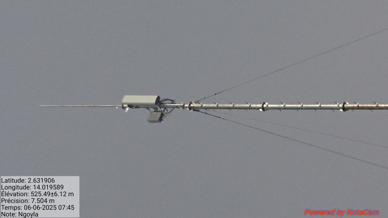 Tete radio sur mat haubane